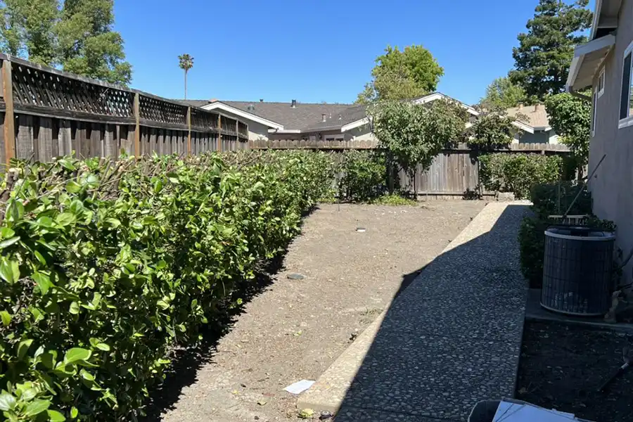 Reliable Castillo Tree Service Inc's other services Castillo Tree Service Inc's other services