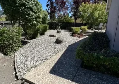 Local Tree Service (4)