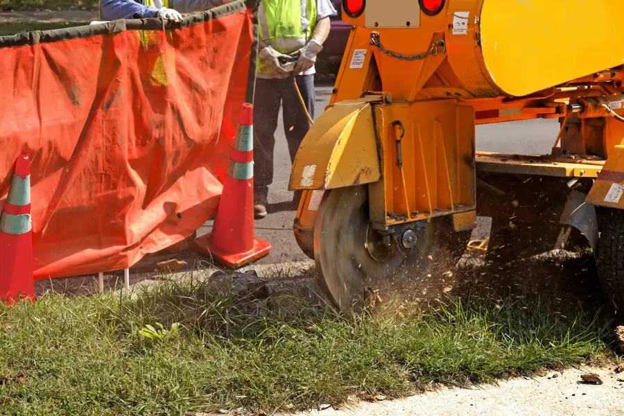 Excellent Stump Grinding Hayward CA Excellent Stump Grinding Hayward CA