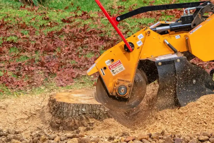Premium Stump Grinding Hayward CA Premium Stump Grinding Hayward CA
