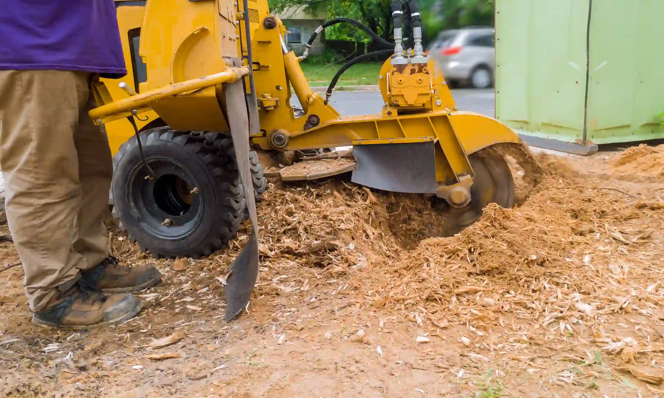 Quality Stump Grinding Hayward CA Quality Stump Grinding Hayward CA