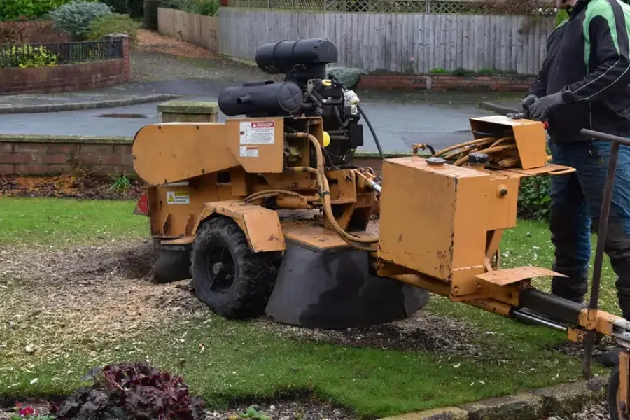 Why You Should Consider Stump Grinding After Tree Removal Hayward CA Why You Should Consider Stump Grinding After Tree Removal Hayward CA